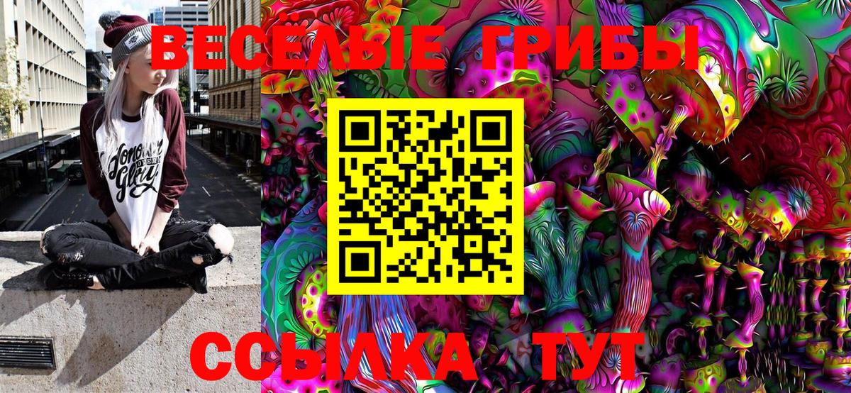 Галлюциногенные грибы Psilocybe  Вход с VPN  Алексин 